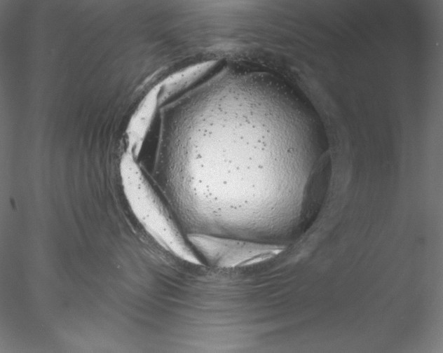 X0000076420576200611031817