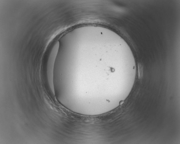 X0000076420579200611031816