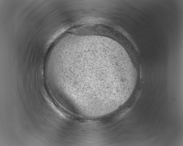 X0000076420581200611031816