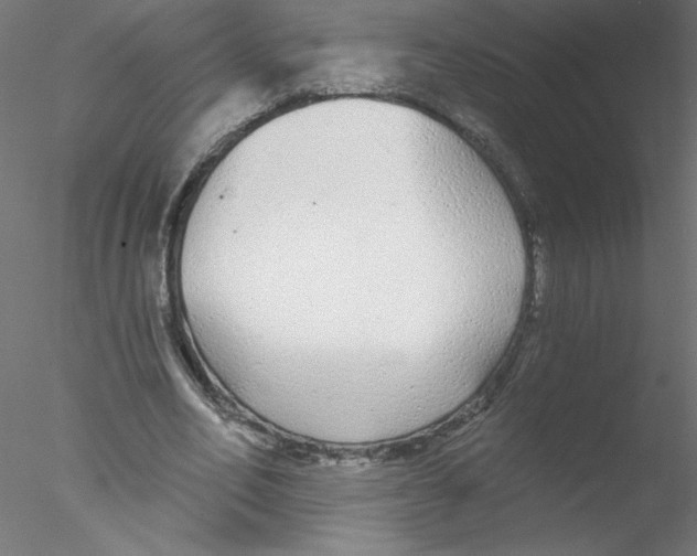 X0000076420582200611031816