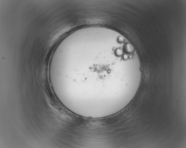 X0000076420583200611031816