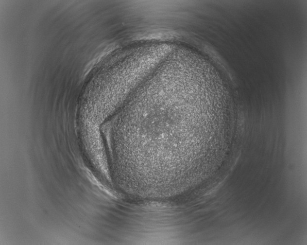 X0000076420585200611031816