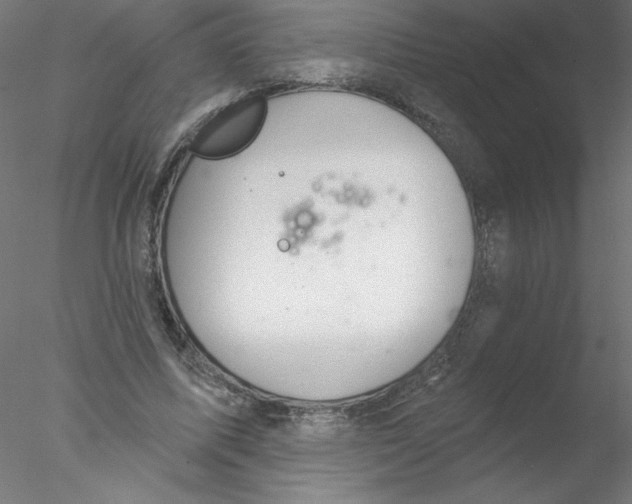 X0000076420587200611031816