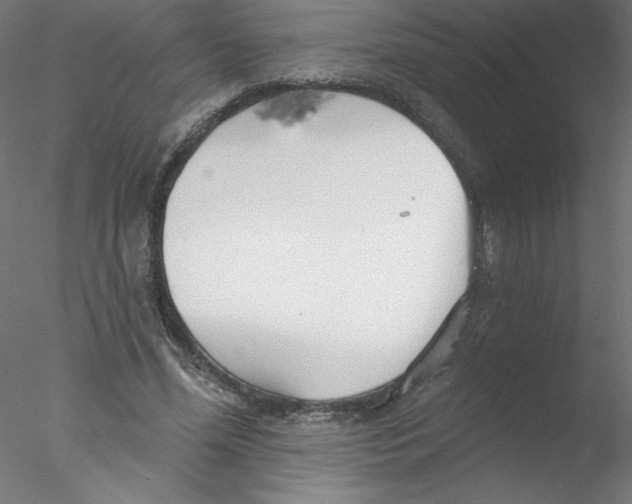 X0000076420588200611031815