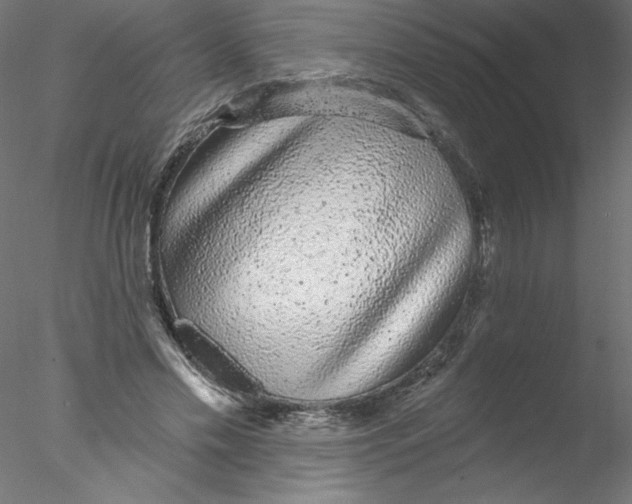 X0000076420589200611031815