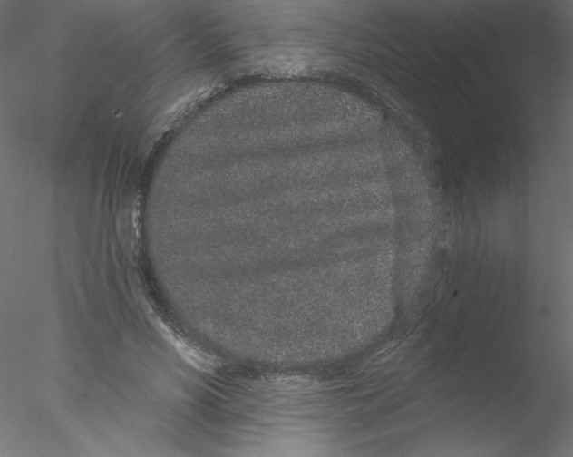 X0000076420590200611031815