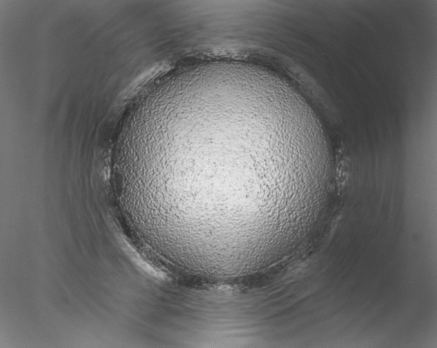 X0000076420593200611031815