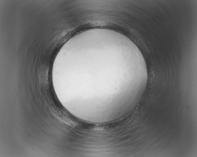 X0000076420596200611031815