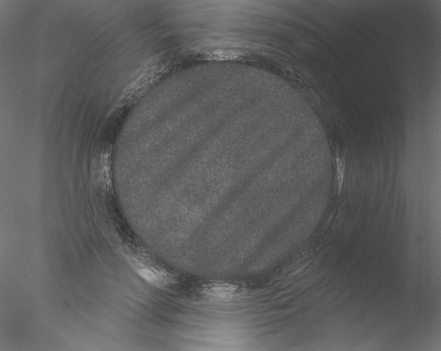 X0000076420598200611031815