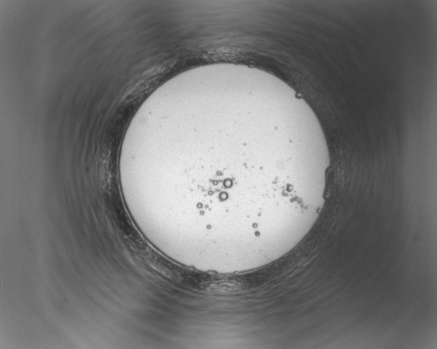 X0000076420599200611031815