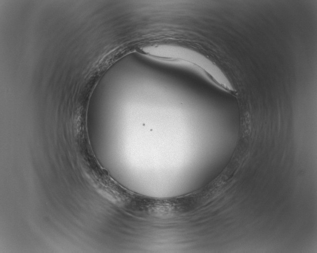 X0000076420600200611031815