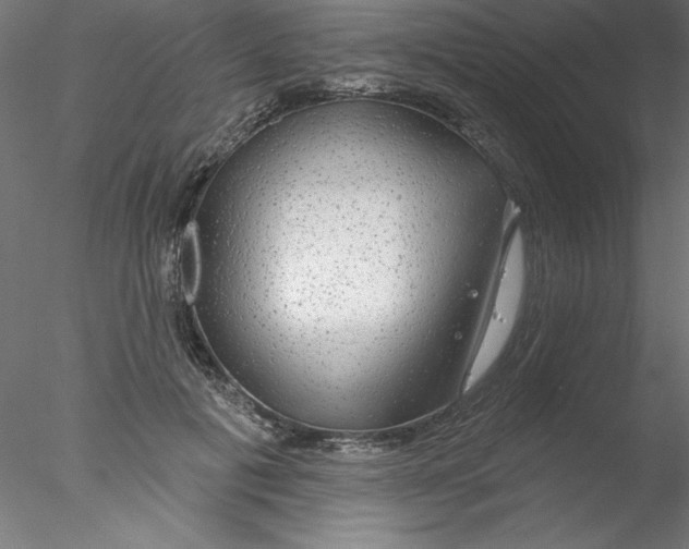 X0000076420601200611031815