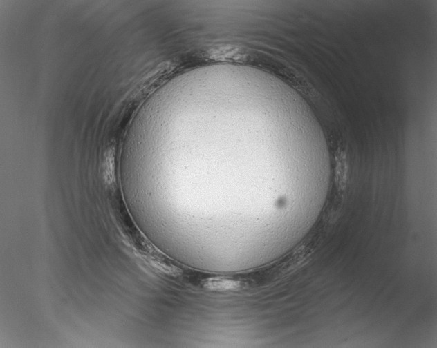 X0000076420602200611031815