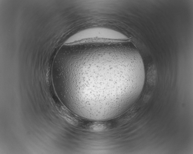 X0000076420604200611031815