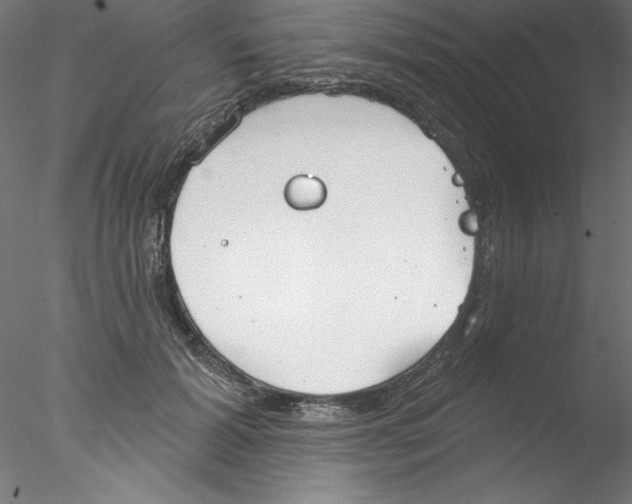 X0000076420605200611031815