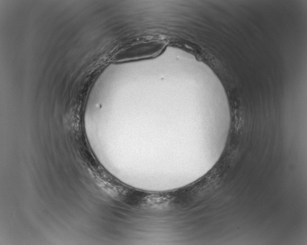 X0000076420606200611031815