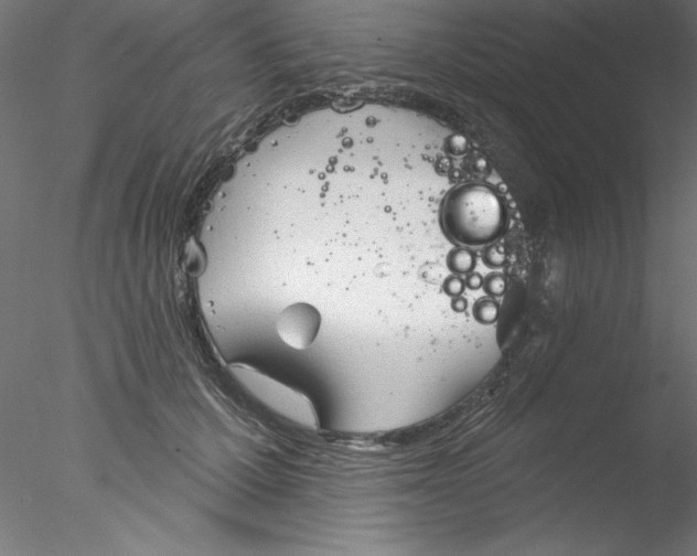 X0000076420607200611031815