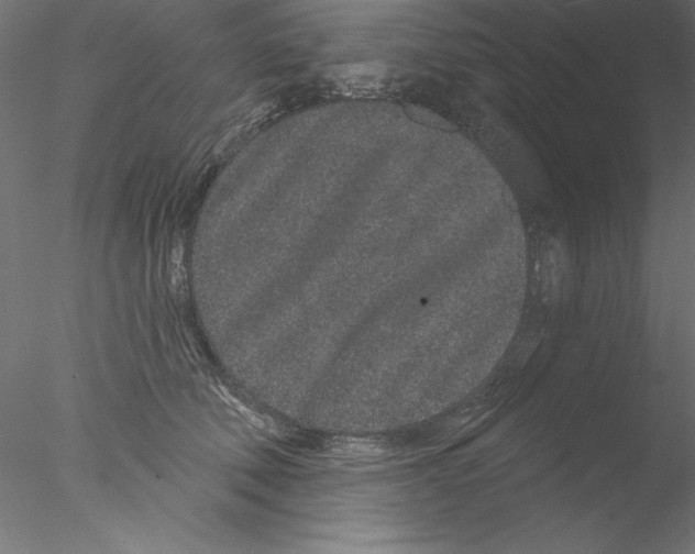 X0000076420610200611031815