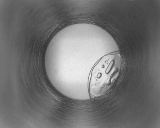 X0000076420611200611031815