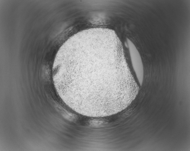 X0000076420614200611031815