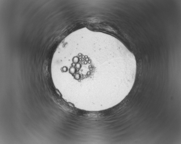 X0000076420615200611031815