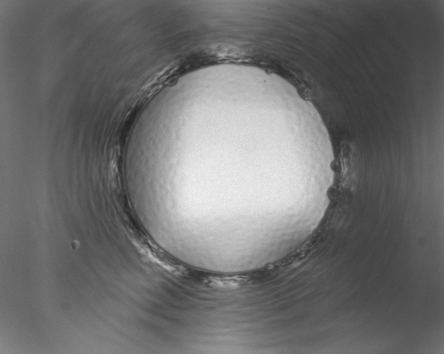 X0000076420618200611031815