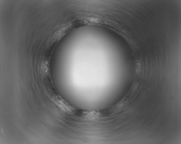 X0000076420621200611031815