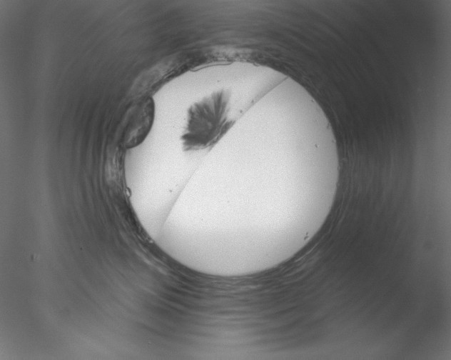 X0000076420623200611031815