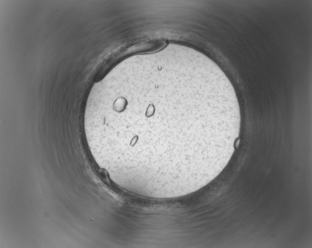 X0000076420625200611031814