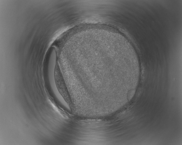 X0000076420626200611031814