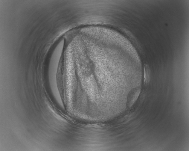 X0000076420627200611031814