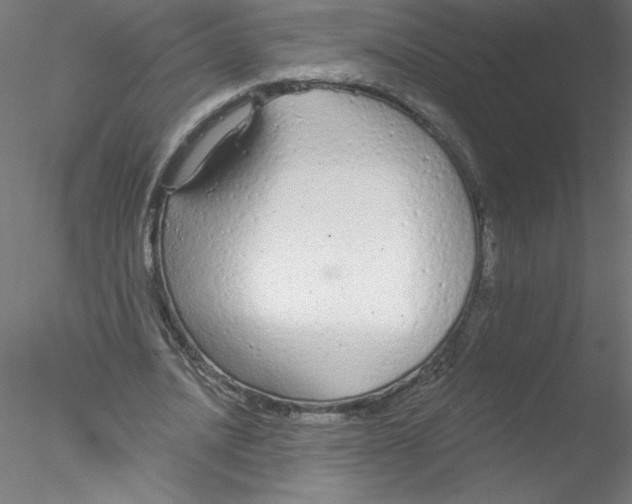 X0000076420628200611031814