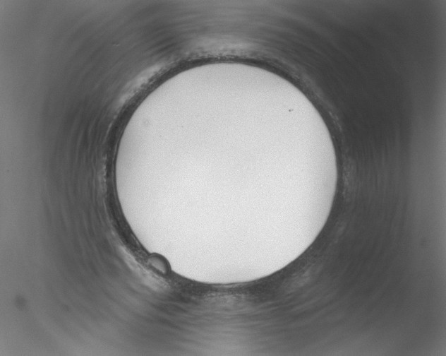 X0000076420629200611031814