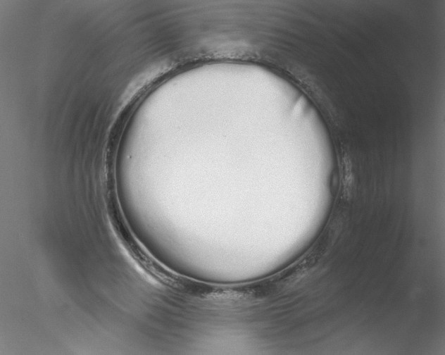 X0000076420630200611031814