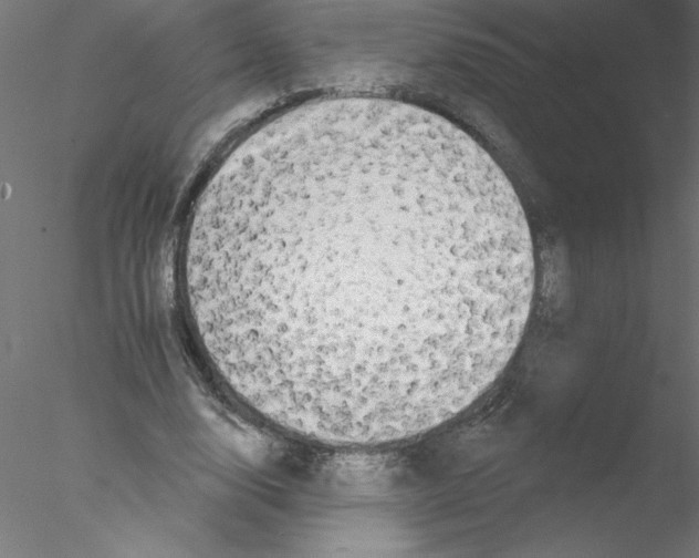 X0000076420632200611031814