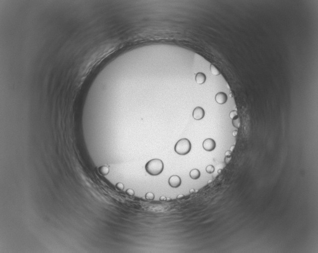 X0000076420635200611031814