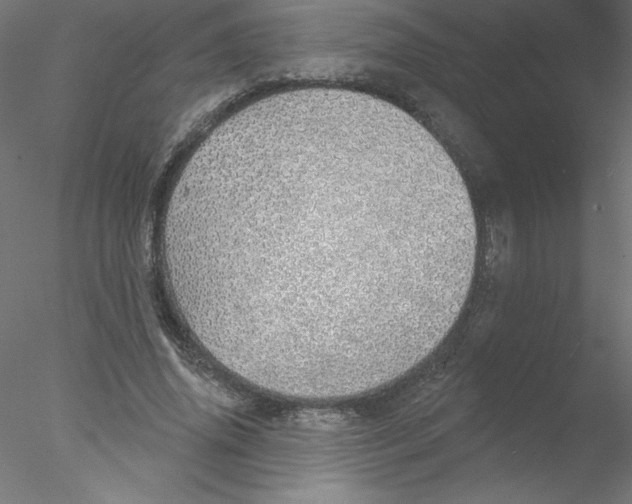 X0000076420636200611031814