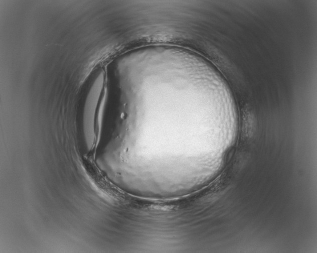 X0000076420638200611031814