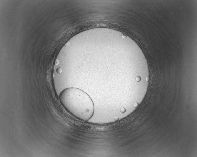 X0000076420639200611031814