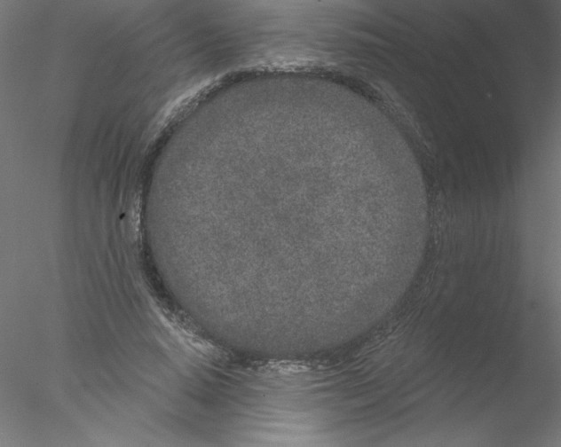 X0000076420640200611031814