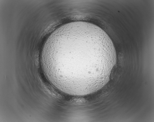 X0000076420642200611031814