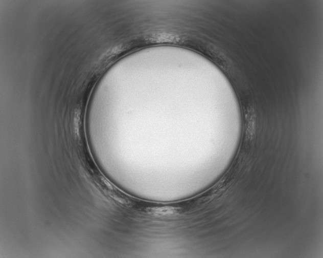 X0000076420643200611031814