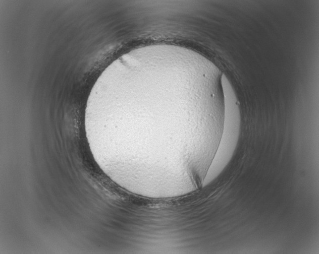 X0000076420644200611031814