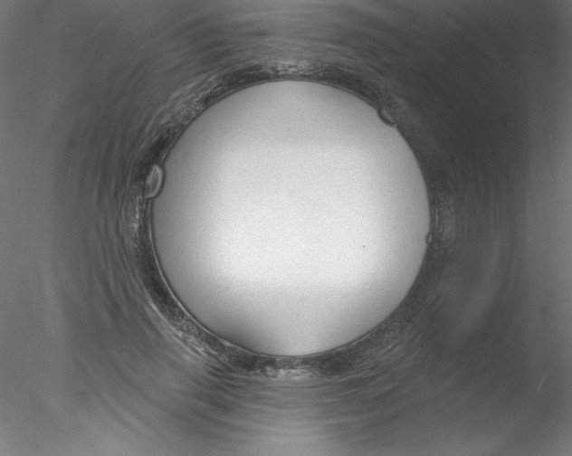 X0000076420645200611031814