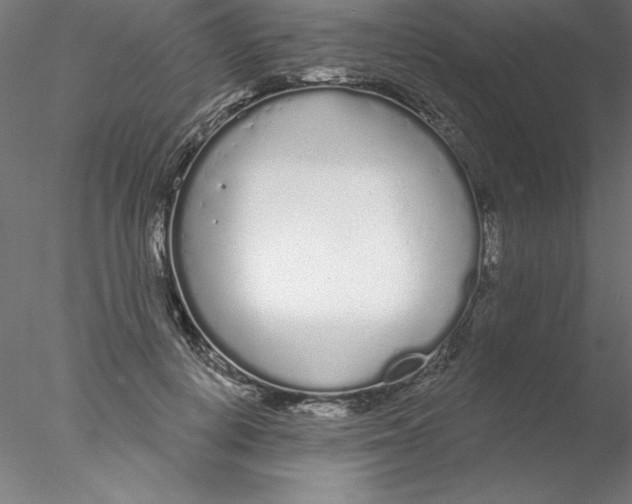 X0000076420648200611031814