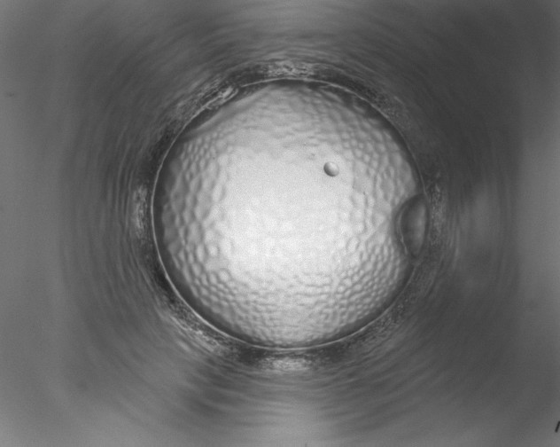 X0000076420649200611031814