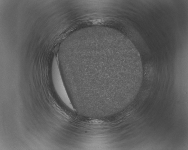 X0000076420650200611031814