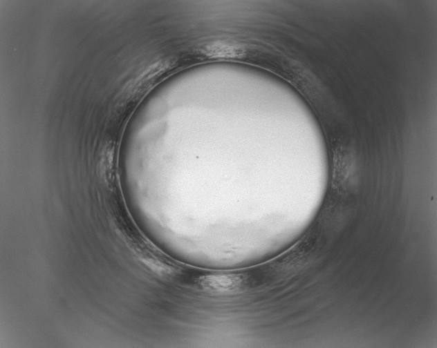 X0000076420652200611031815