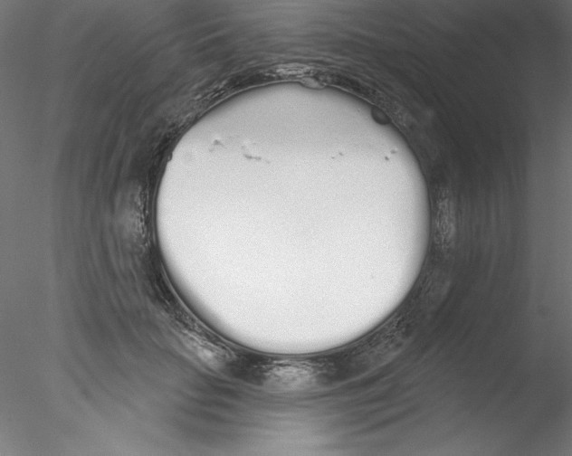 X0000076420653200611031815