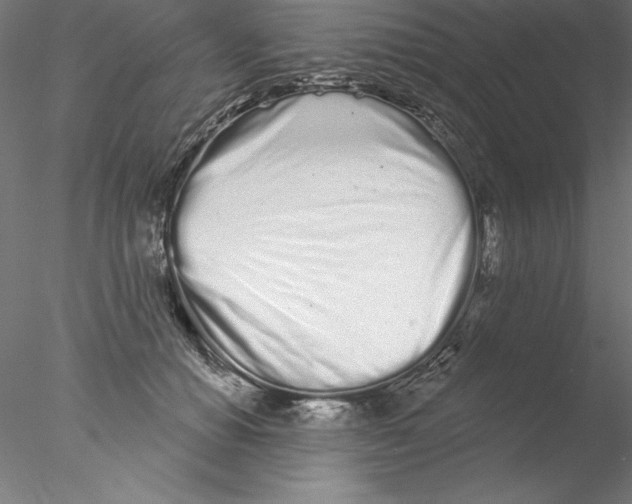 X0000076420654200611031815